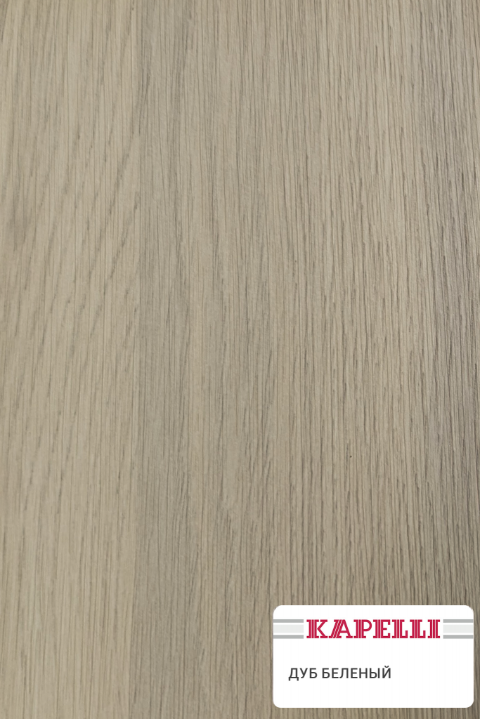 Дуб беленый